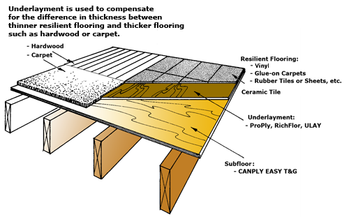 Your Sub-Floor and You: What Lies Beneath - Reno-Tahoe-Nevada